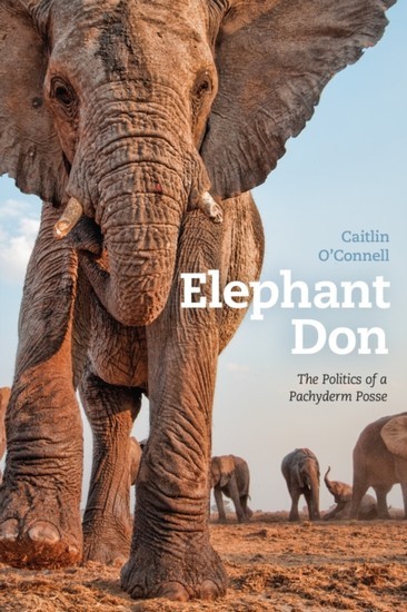 Elephant Don main product photo