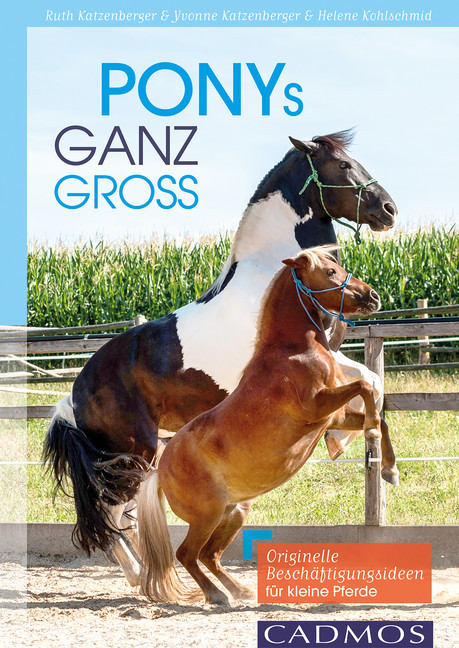 Ponys ganz groß main product photo