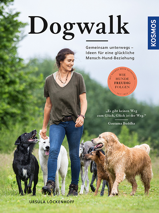 Dogwalk main product photo