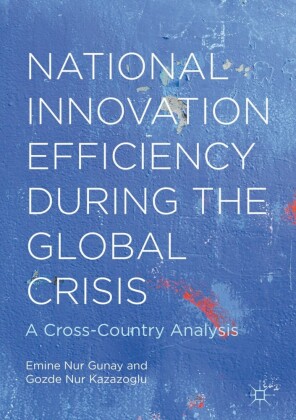 National Innovation Efficiency During the Global Crisis