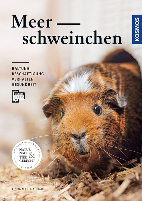 Meerschweinchen main product photo