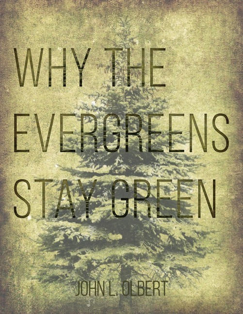 Why the Evergreens Stay Green main product photo