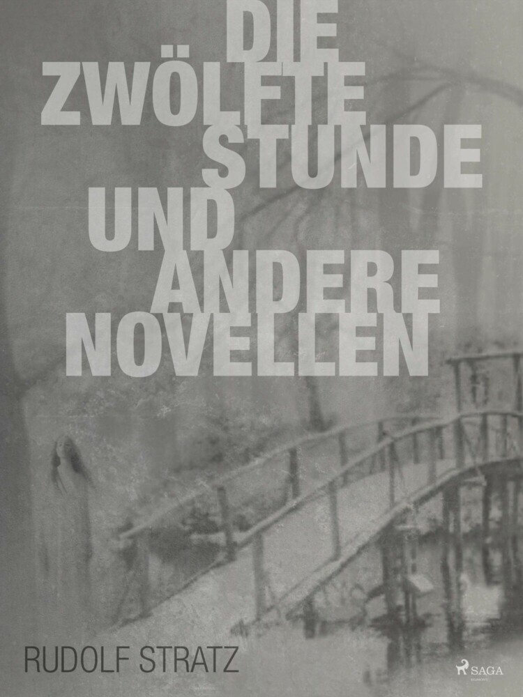Die zwölfte Stunde und andere Novellen main product photo