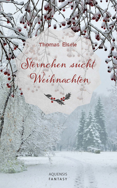 Sternchen sucht Weihnachten main product photo