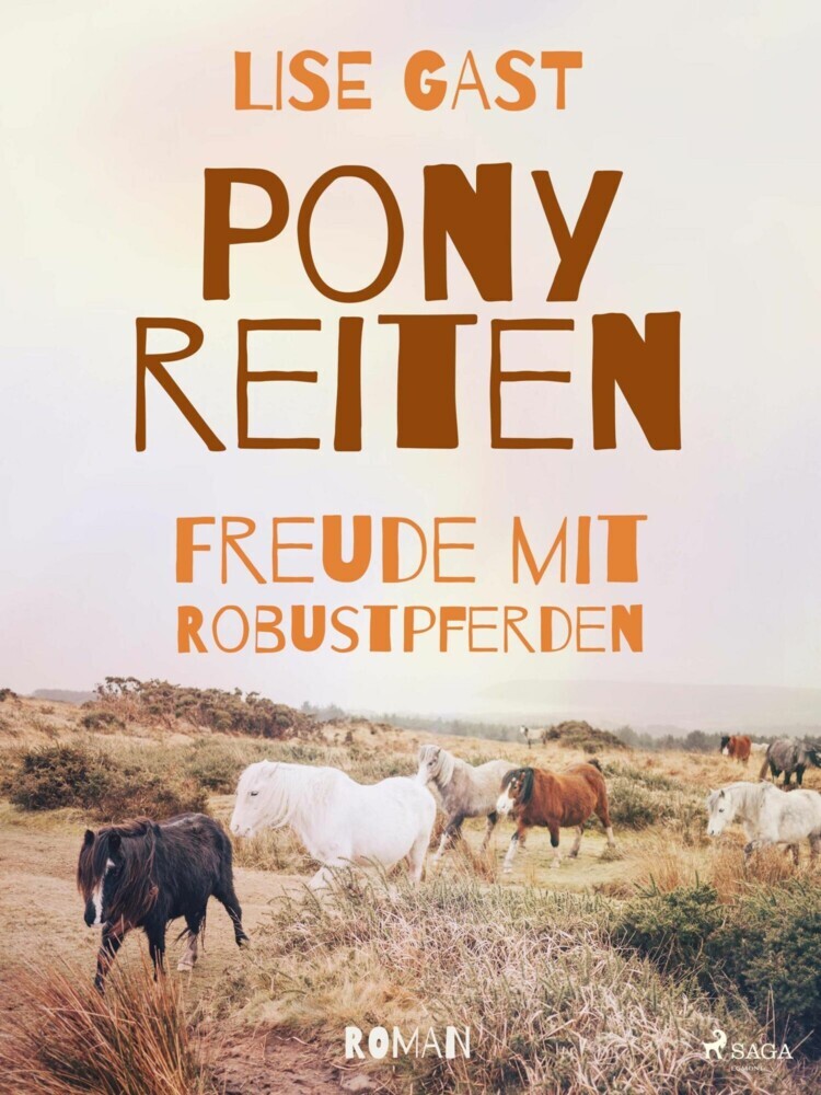 Ponyreiten main product photo