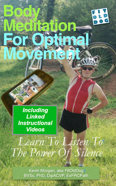 Body Meditation for Optimal Movement main product photo