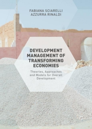 Development Management of Transforming Economies