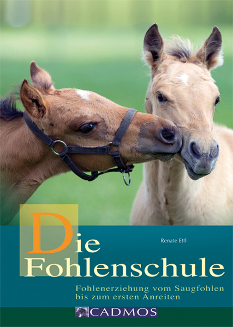 Die Fohlenschule main product photo
