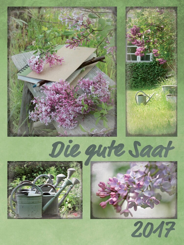 Die gute Saat (2017) main product photo