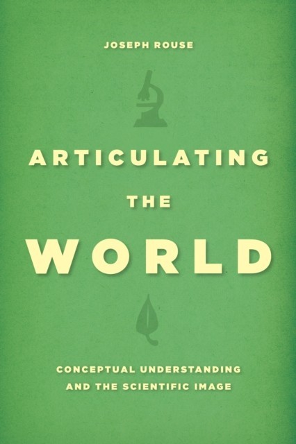 Articulating the World main product photo