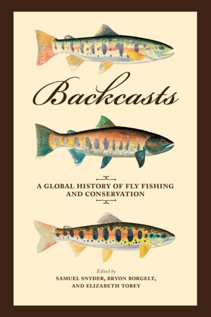 Backcasts main product photo