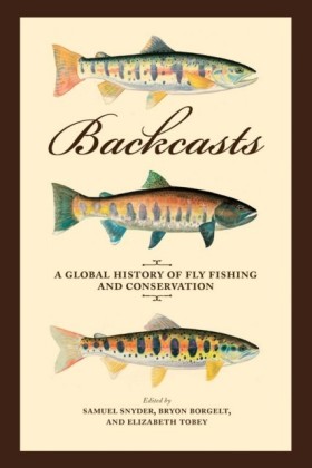 Backcasts