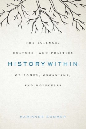 History Within