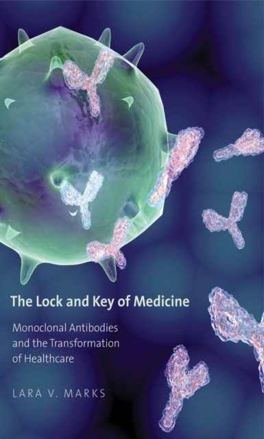 Lock and Key of Medicine main product photo