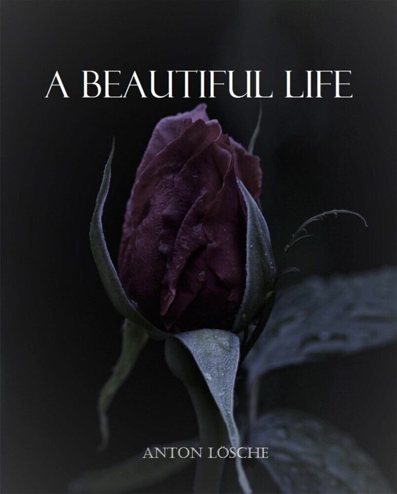 A Beautiful Life main product photo