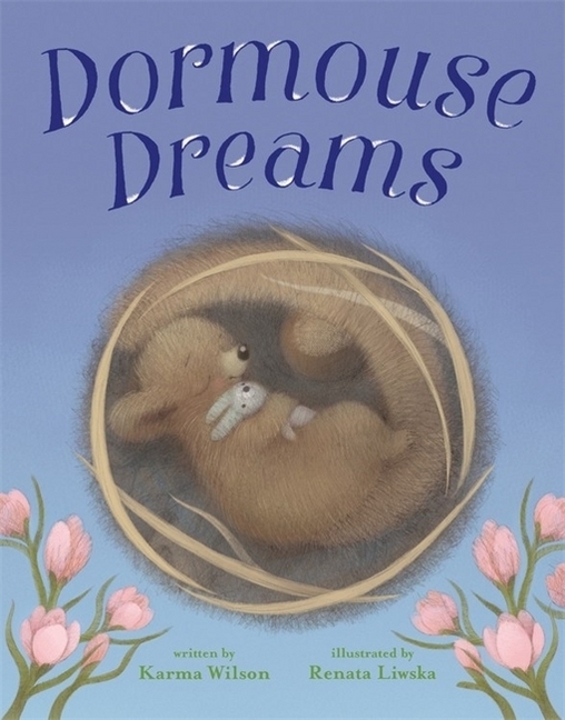 Dormouse Dreams main product photo