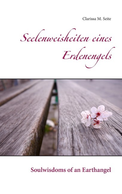 Seelenweisheiten eines Erdenengels main product photo