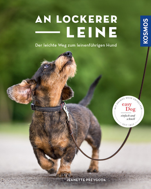 An lockerer Leine main product photo