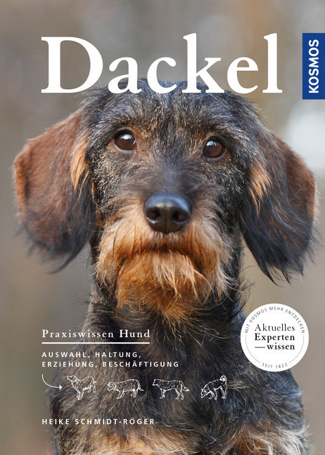 Dackel main product photo