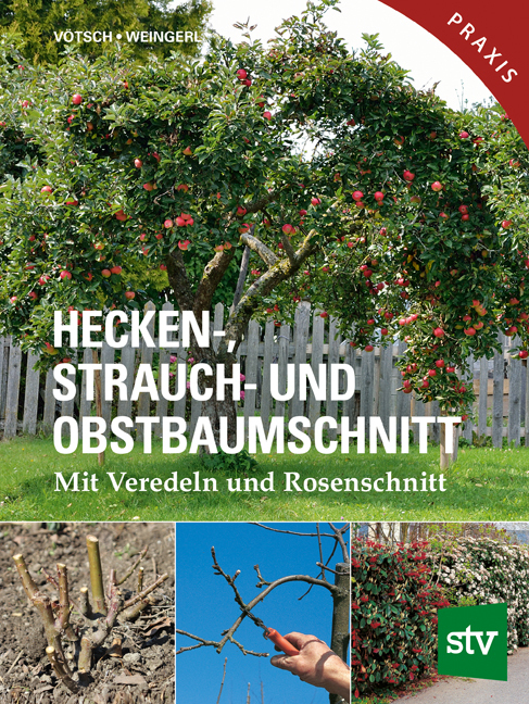 Hecken-, Strauch- und Obstbaumschnitt main product photo