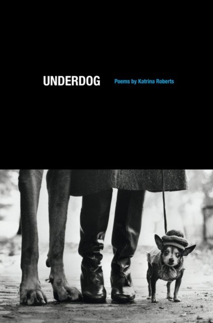 Underdog main product photo