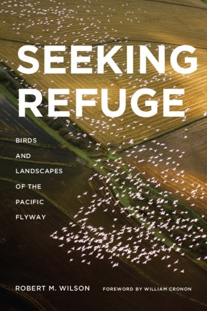 Seeking Refuge main product photo