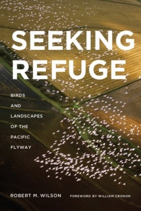 Seeking Refuge