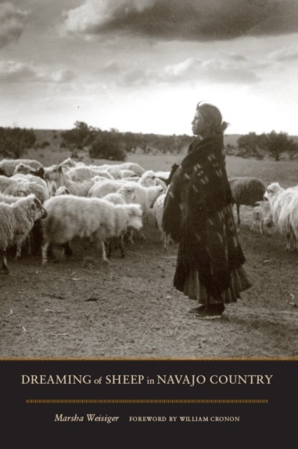Dreaming of Sheep in Navajo Country main product photo