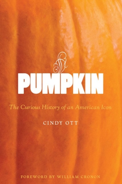 Pumpkin main product photo