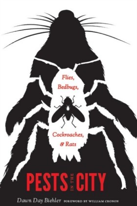 Pests in the City