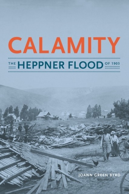 Calamity main product photo