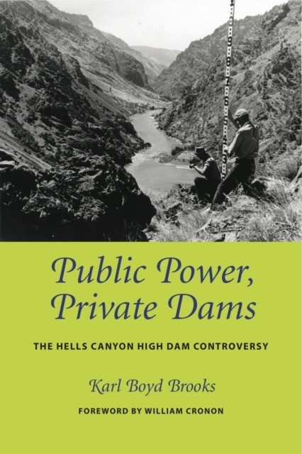 Public Power, Private Dams main product photo