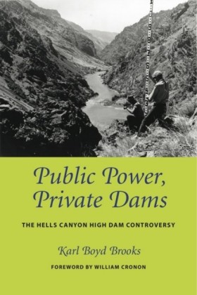 Public Power, Private Dams