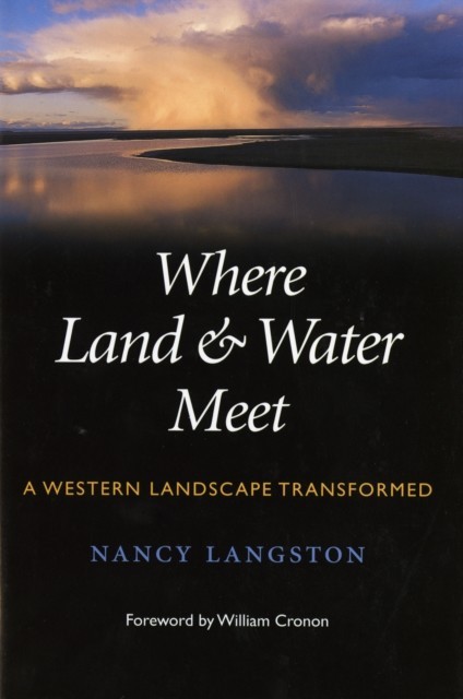 Where Land and Water Meet main product photo