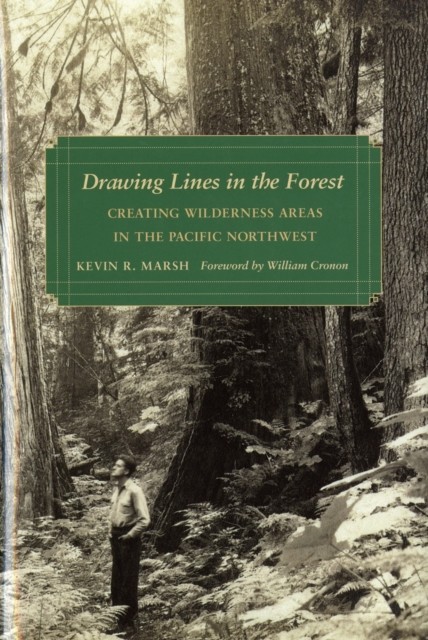 Drawing Lines in the Forest main product photo