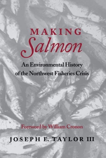 Making Salmon main product photo