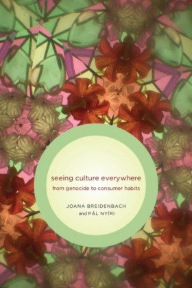 Seeing Culture Everywhere