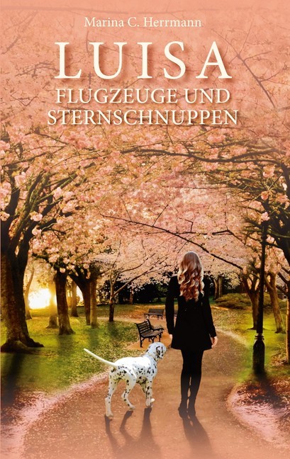 Luisa - Flugzeuge und Sternschnuppen main product photo