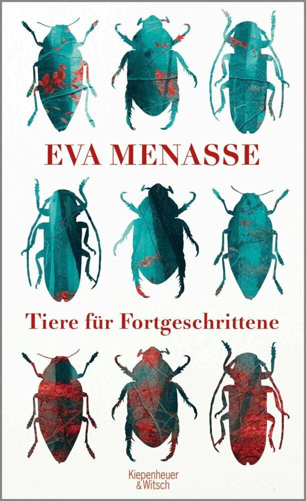 Tiere für Fortgeschrittene main product photo