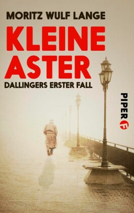Kleine Aster