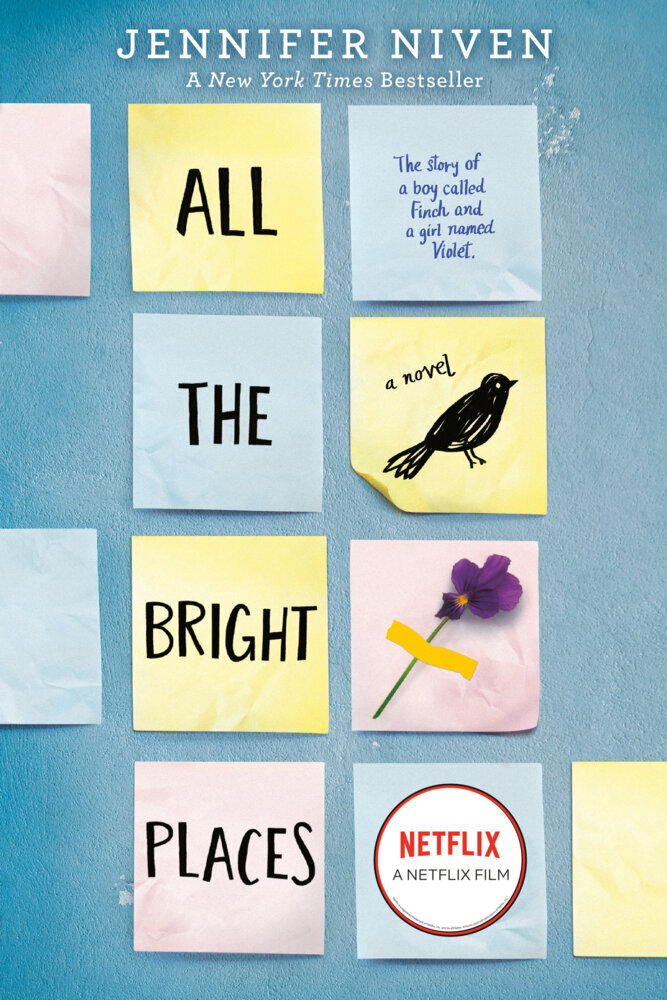All the Bright Places main product photo