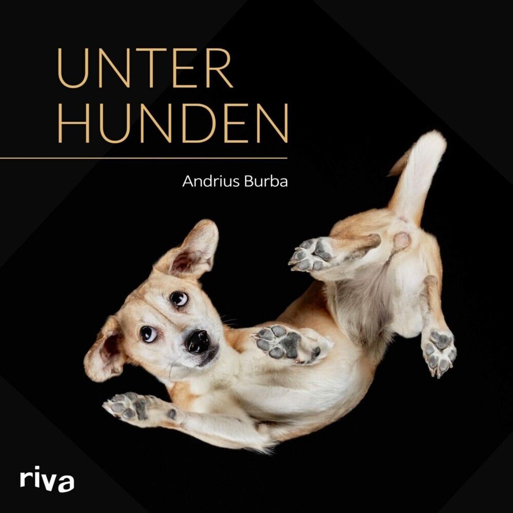 Unter Hunden main product photo