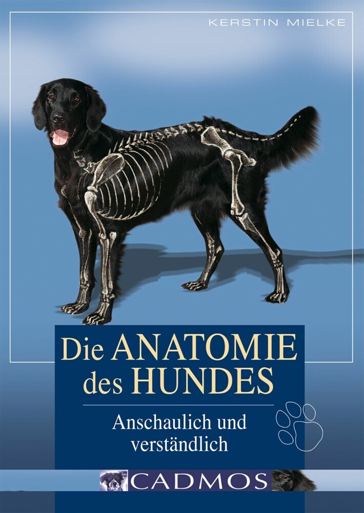 Die Anatomie des Hundes main product photo