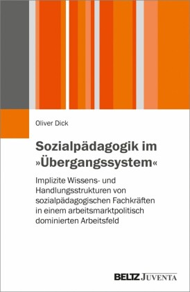 Sozialpädagogik im "Übergangssystem"