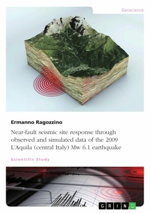 Near-fault seismic site response through observed and simulated data of the 2009 L'Aquila (central Italy) Mw 6.1 earthquake