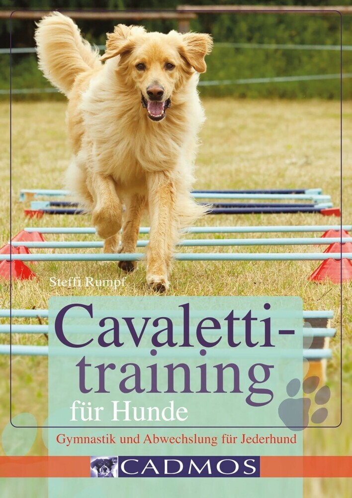Cavalettitraining für Hunde main product photo