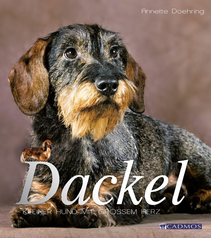 Dackel main product photo