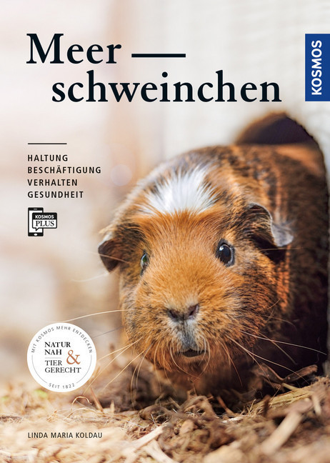 Meerschweinchen main product photo