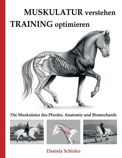 Muskulatur verstehen - Training optimieren main product photo