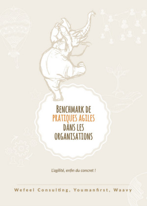 Benchmark de pratiques agiles dans les organisations